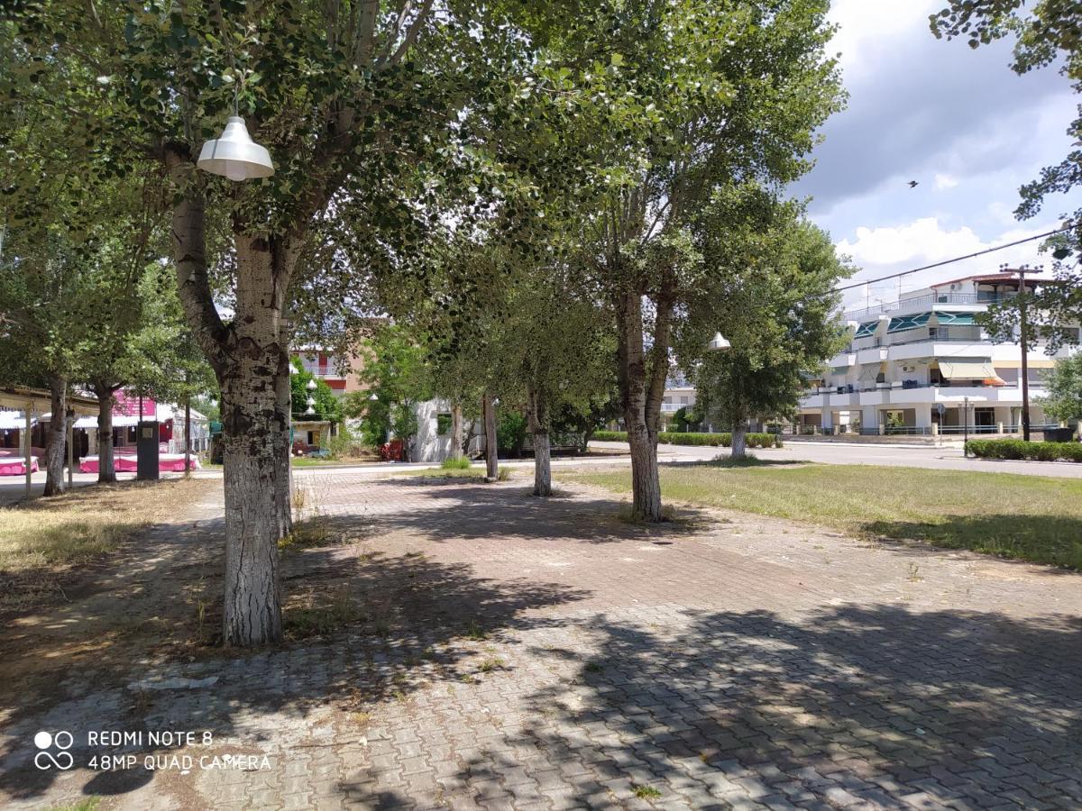 Hause Zorbas Paralia Dionysiou Exterior foto